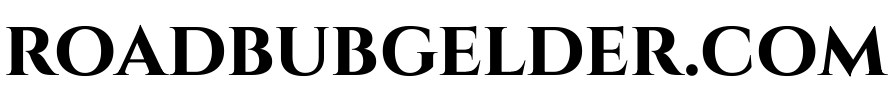 roadbubgelder.com